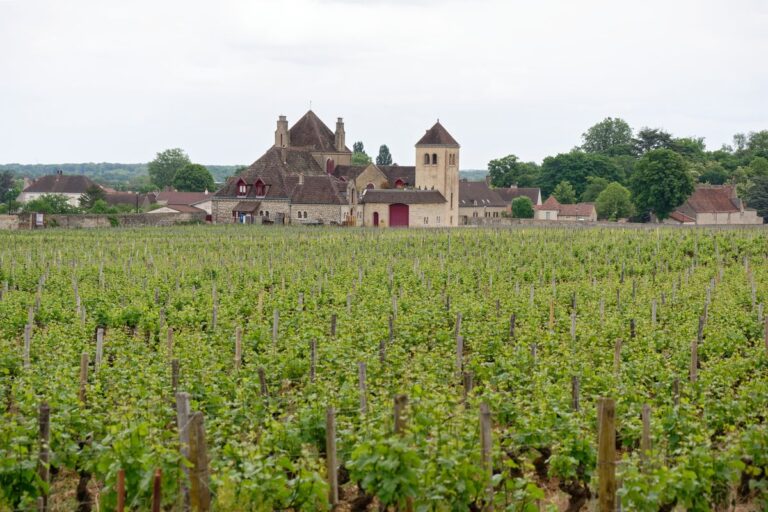 Traitement termites en Bourgogne-Franche-Comte