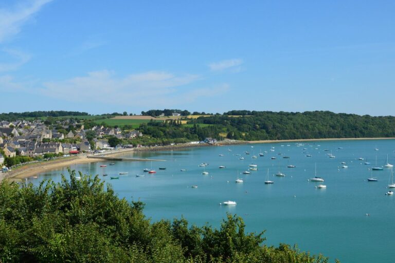 Traitement termites en Bretagne