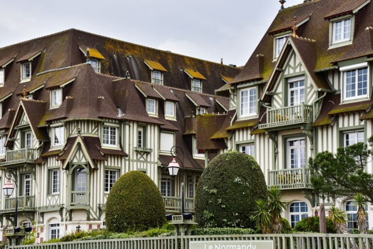 Traitement termites en Normandie