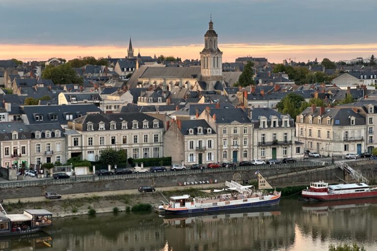Traitement termites en Pays de la Loire